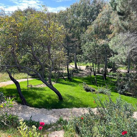 Villa Stella Marina فاليدوريا المظهر الخارجي الصورة