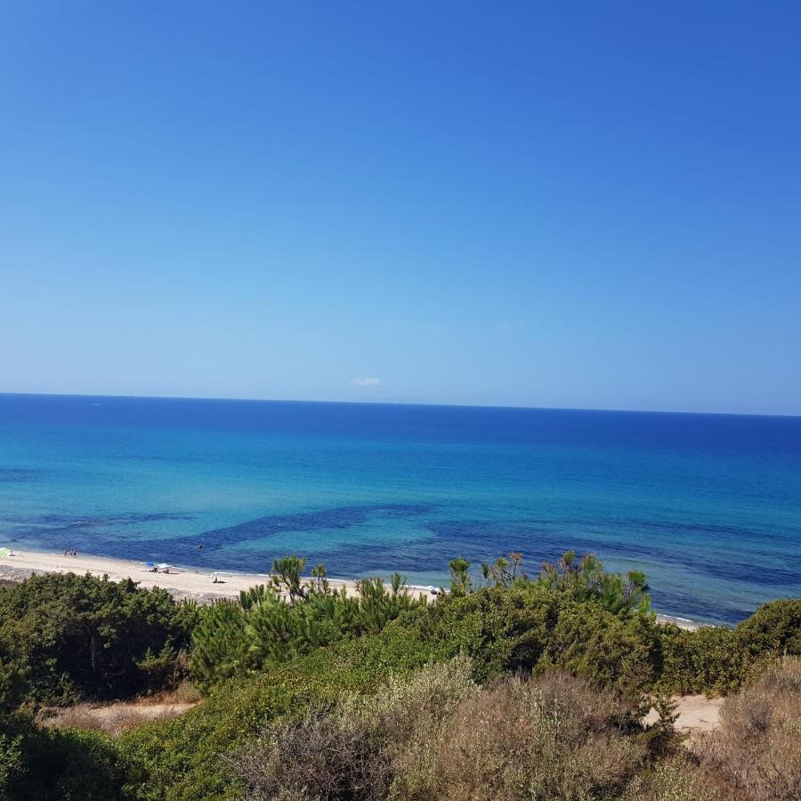 Villa Stella Marina فاليدوريا المظهر الخارجي الصورة