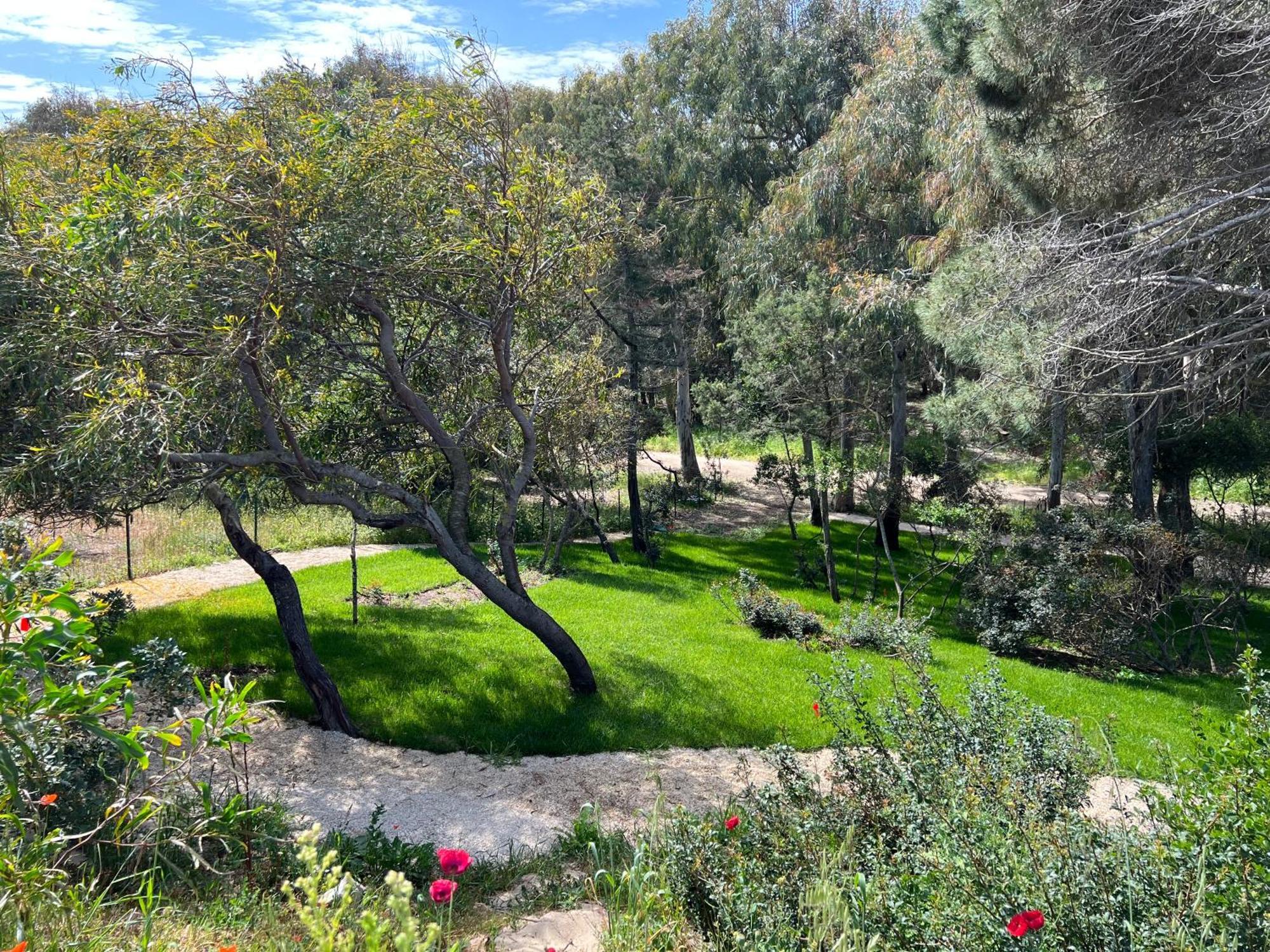 Villa Stella Marina فاليدوريا المظهر الخارجي الصورة